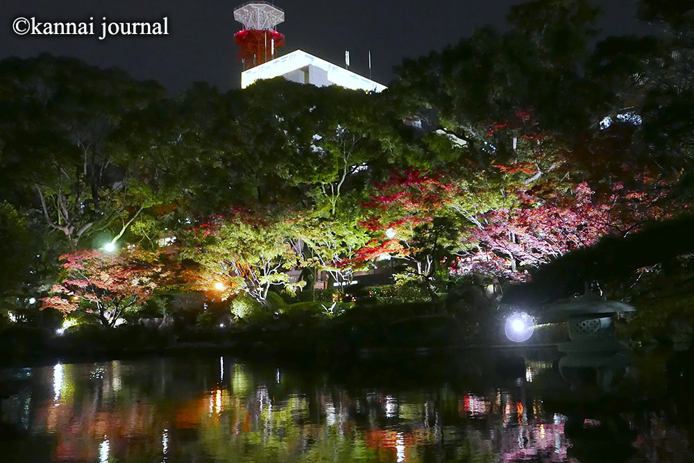 横浜公園の紅葉ライトアップ